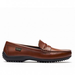 Loafersy Paraboot Corvette Damskie Brązowe | RWHDE2618